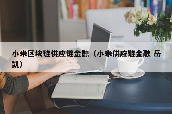 小米区块链供应链金融（小米供应链金融 岳凯）