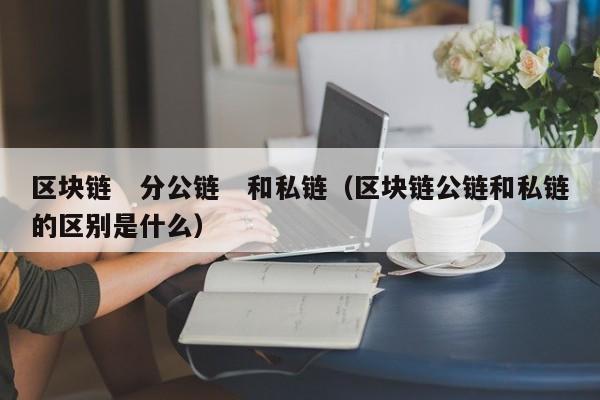 区块链　分公链　和私链（区块链公链和私链的区别是什么）