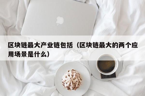 区块链最大产业链包括（区块链最大的两个应用场景是什么）