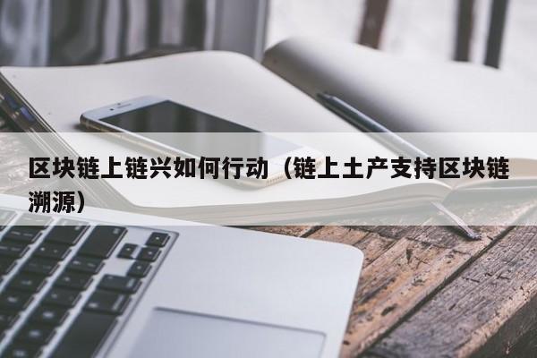 区块链上链兴如何行动（链上土产支持区块链溯源）