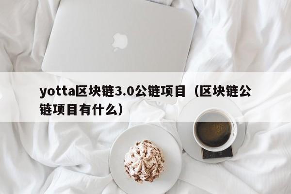 yotta区块链3.0公链项目（区块链公链项目有什么）