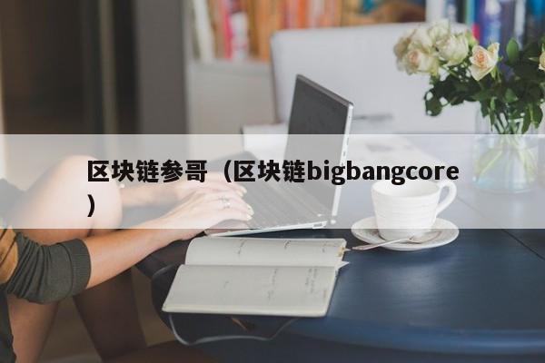 区块链参哥（区块链bigbangcore）