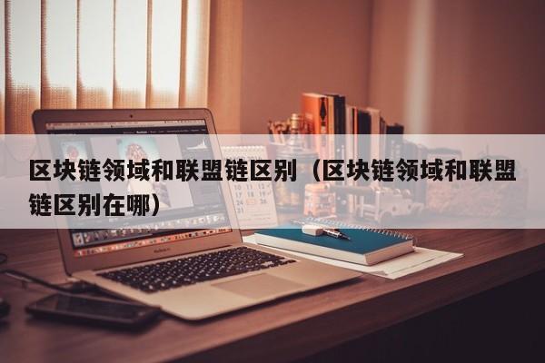 区块链领域和联盟链区别（区块链领域和联盟链区别在哪）