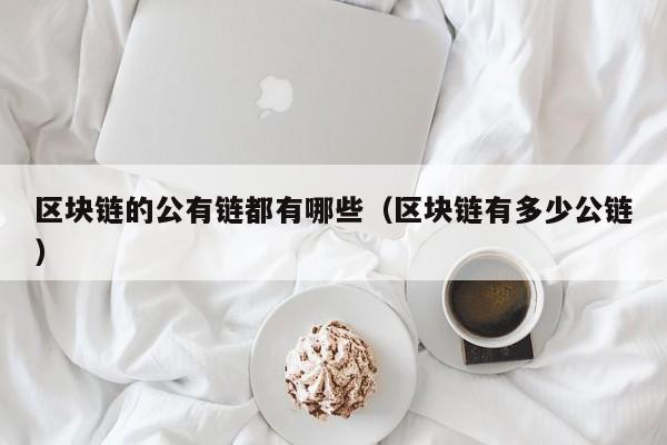 区块链的公有链都有哪些（区块链有多少公链）