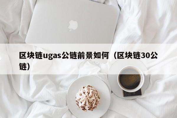 区块链ugas公链前景如何（区块链30公链）