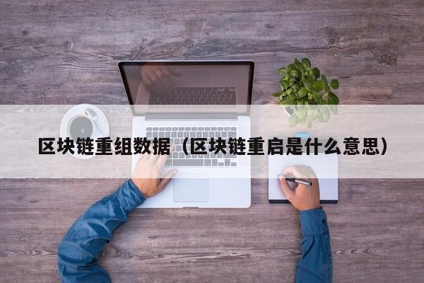 区块链重组数据（区块链重启是什么意思）