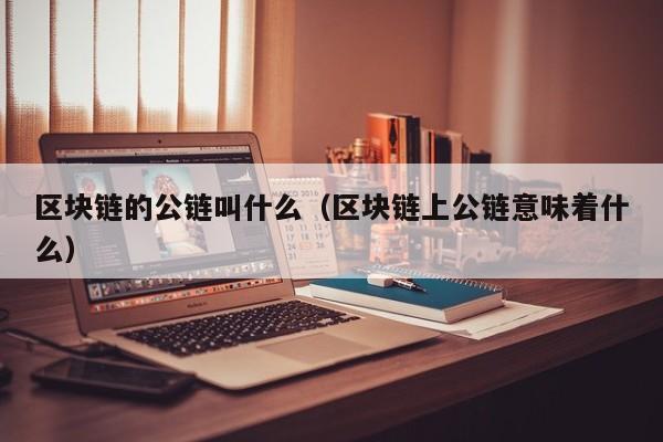 区块链的公链叫什么（区块链上公链意味着什么）
