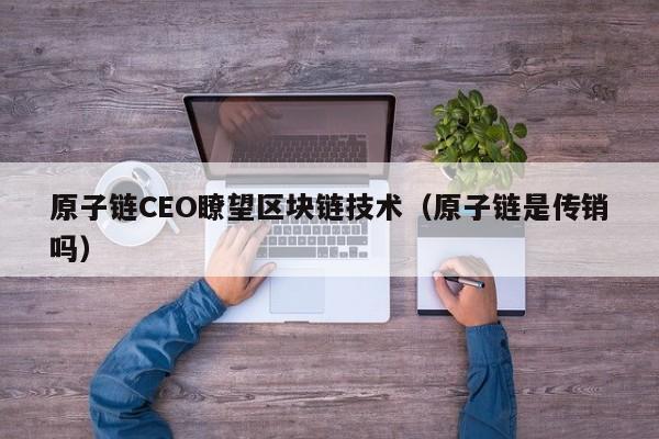 原子链CEO瞭望区块链技术（原子链是传销吗）