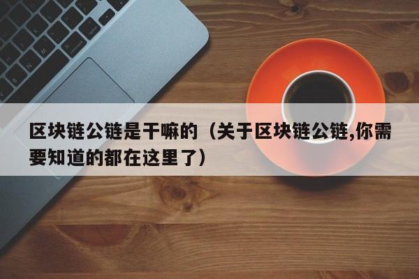 区块链公链是干嘛的（关于区块链公链,你需要知道的都在这里了）