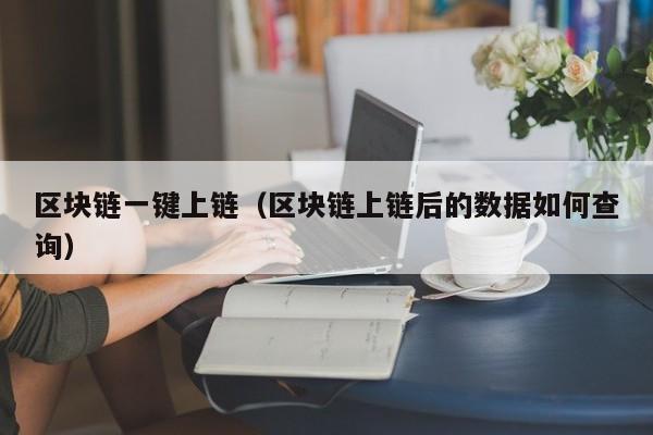 区块链一键上链（区块链上链后的数据如何查询）