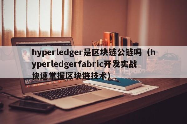 hyperledger是区块链公链吗（hyperledgerfabric开发实战快速掌握区块链技术）