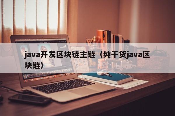 java开发区块链主链（纯干货java区块链）
