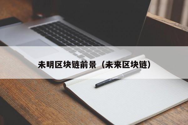 未明区块链前景（未来区块链）