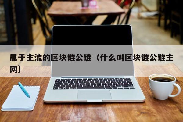 属于主流的区块链公链（什么叫区块链公链主网）
