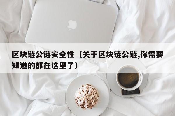 区块链公链安全性（关于区块链公链,你需要知道的都在这里了）