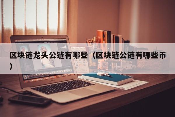 区块链龙头公链有哪些（区块链公链有哪些币）