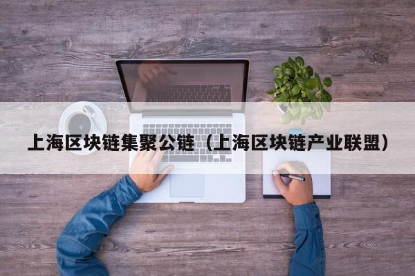 上海区块链集聚公链（上海区块链产业联盟）