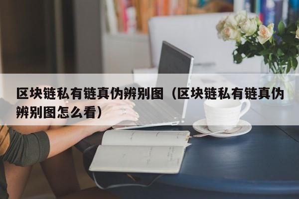 区块链私有链真伪辨别图（区块链私有链真伪辨别图怎么看）