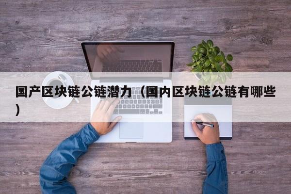 国产区块链公链潜力（国内区块链公链有哪些）