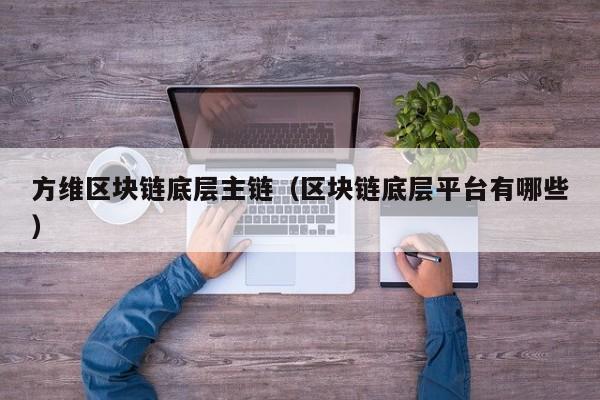 方维区块链底层主链（区块链底层平台有哪些）
