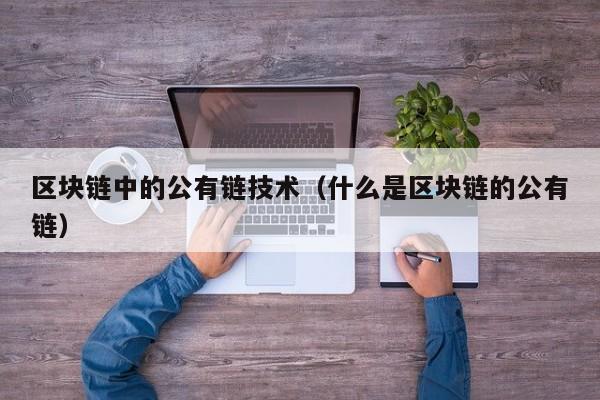 区块链中的公有链技术（什么是区块链的公有链）