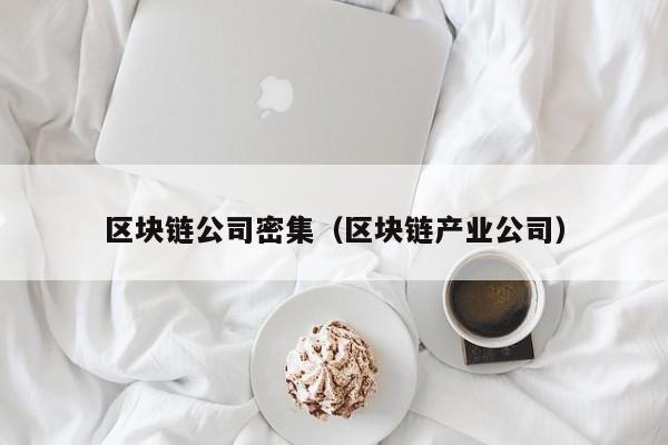 区块链公司密集（区块链产业公司）