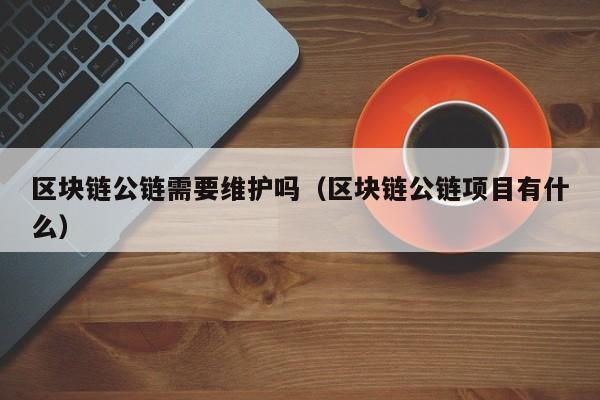 区块链公链需要维护吗（区块链公链项目有什么）