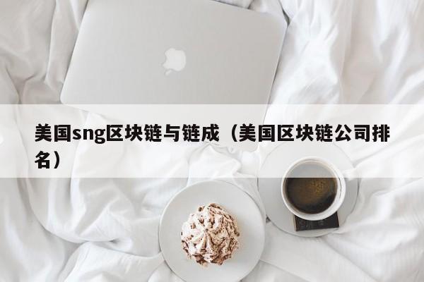 美国sng区块链与链成（美国区块链公司排名）