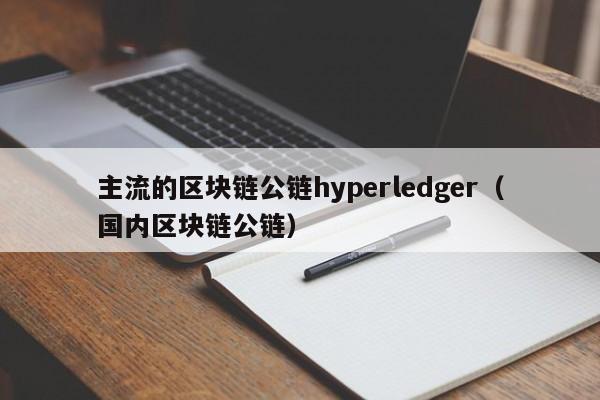 主流的区块链公链hyperledger（国内区块链公链）