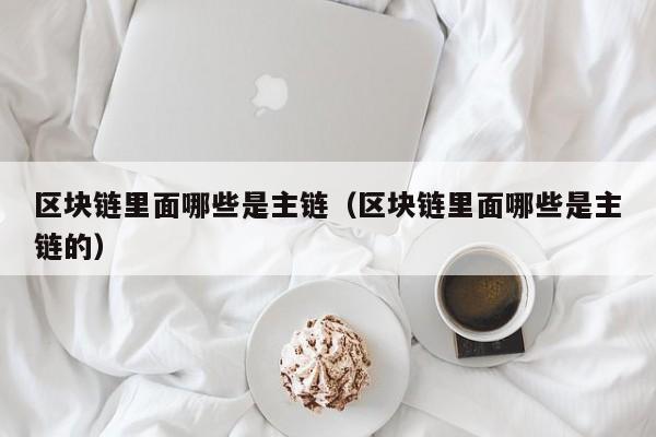 区块链里面哪些是主链（区块链里面哪些是主链的）