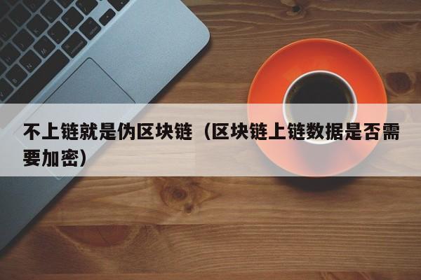 不上链就是伪区块链（区块链上链数据是否需要加密）