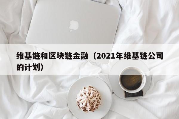 维基链和区块链金融（2021年维基链公司的计划）