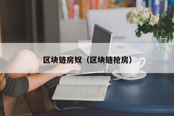 区块链房奴（区块链抢房）