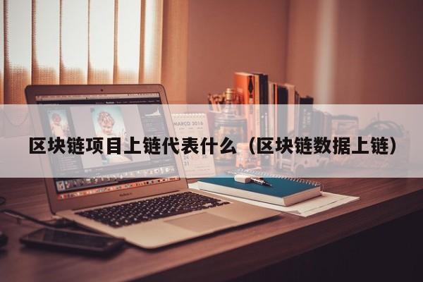 区块链项目上链代表什么（区块链数据上链）
