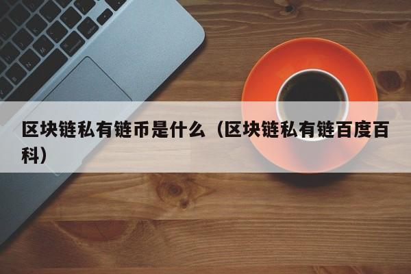 区块链私有链币是什么（区块链私有链百度百科）