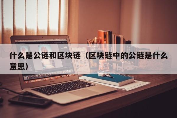 什么是公链和区块链（区块链中的公链是什么意思）