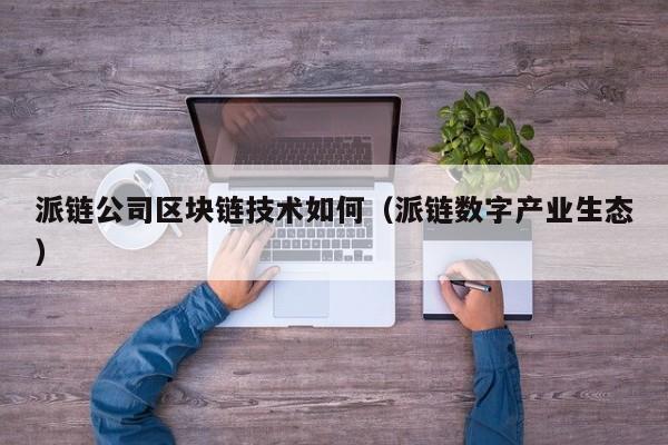 派链公司区块链技术如何（派链数字产业生态）