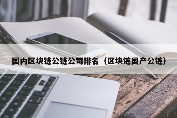 国内区块链公链公司排名（区块链国产公链）