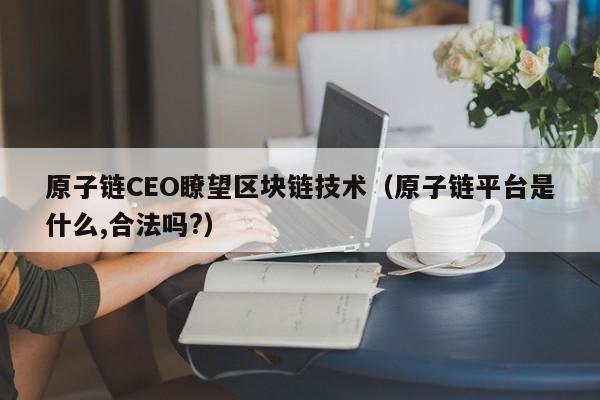 原子链CEO瞭望区块链技术（原子链平台是什么,合法吗?）