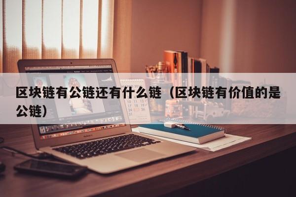 区块链有公链还有什么链（区块链有价值的是公链）