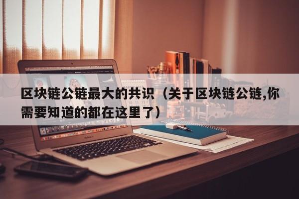 区块链公链最大的共识（关于区块链公链,你需要知道的都在这里了）