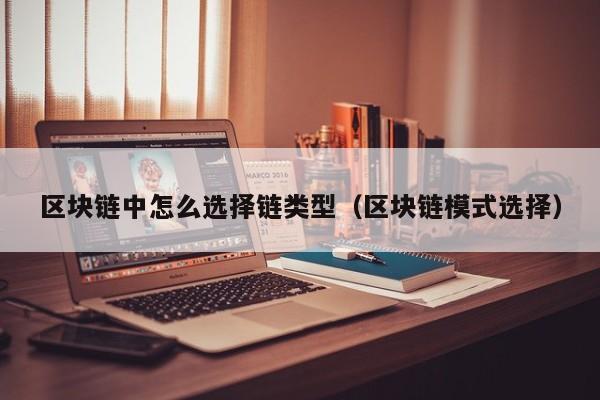 区块链中怎么选择链类型（区块链模式选择）